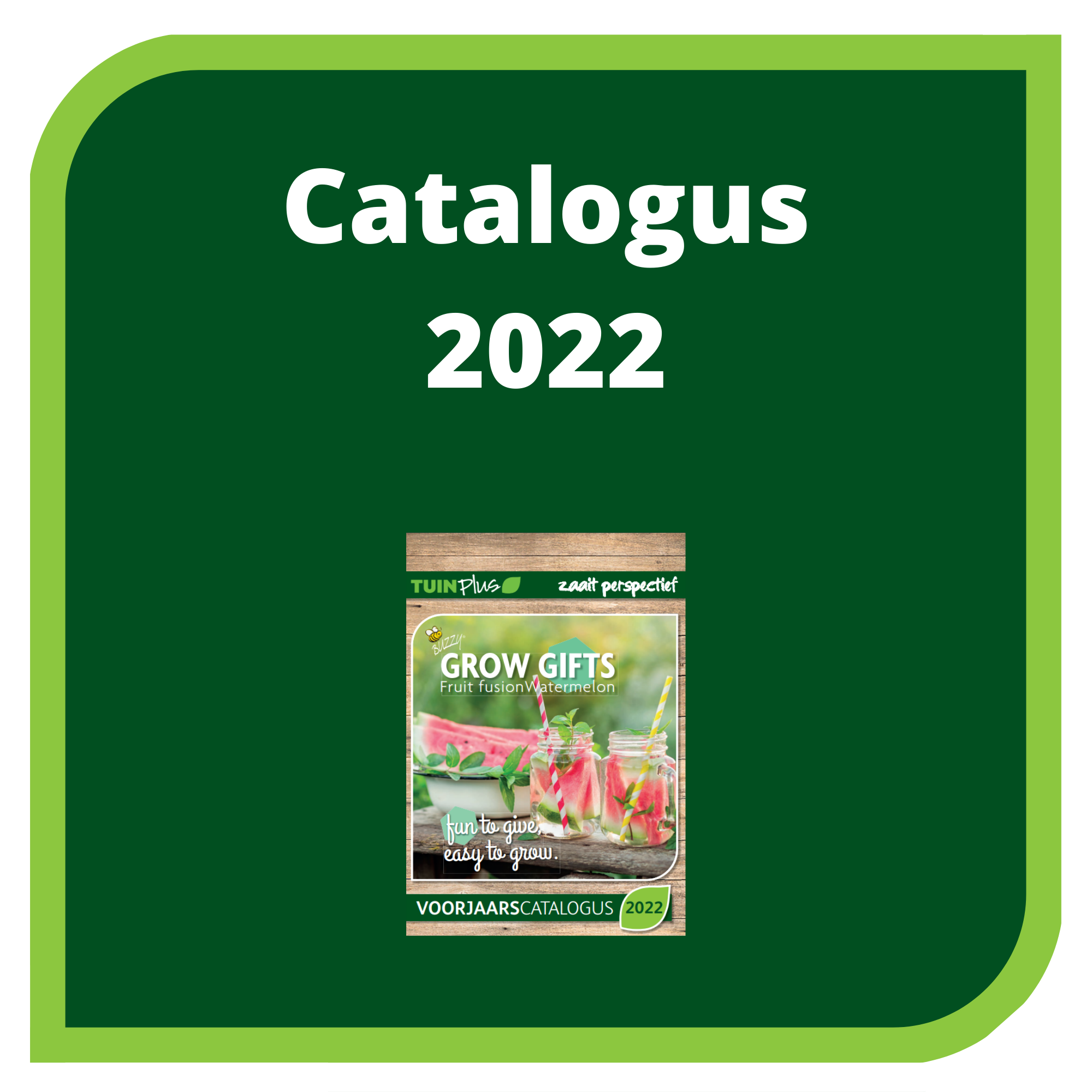 catalogus 2022