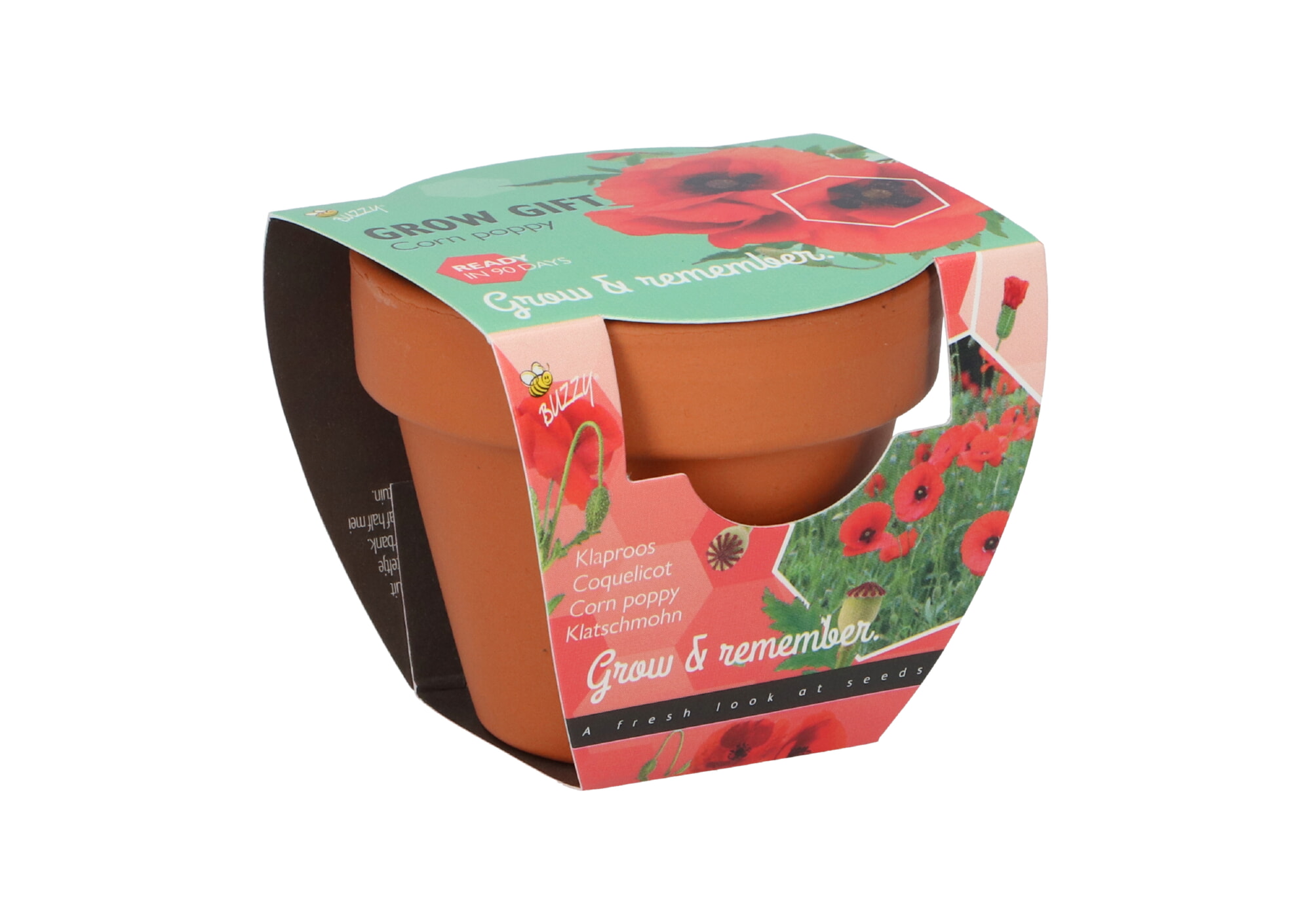 Buzzy® Grow Gifts Poppy 30st. in display
