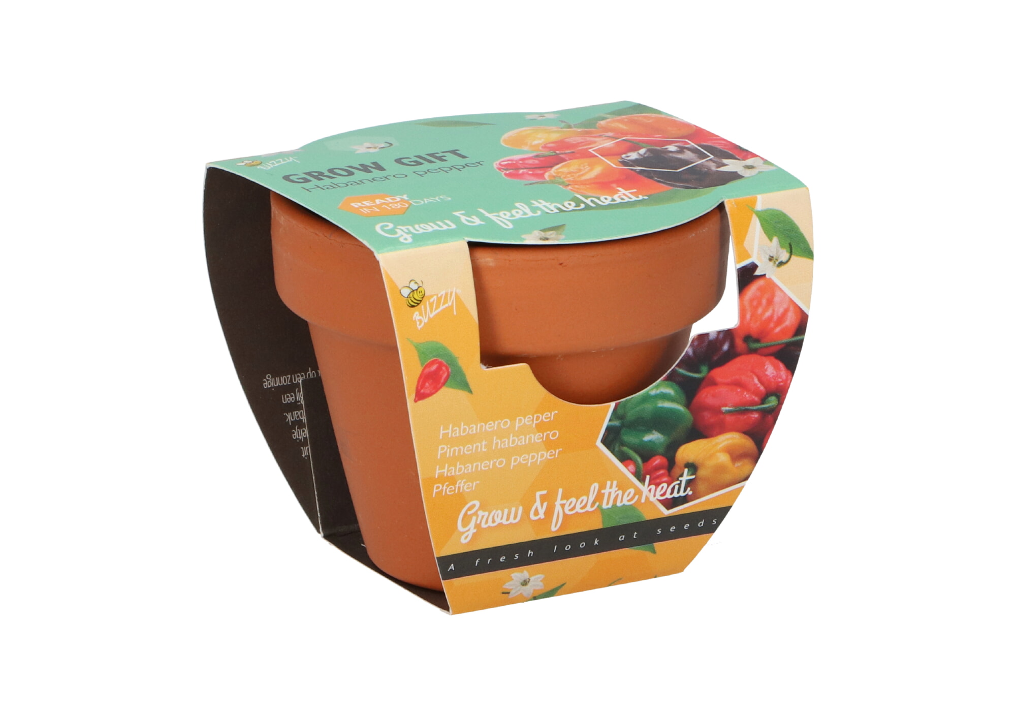 Buzzy® Grow Gifts Pepper 30st. in display