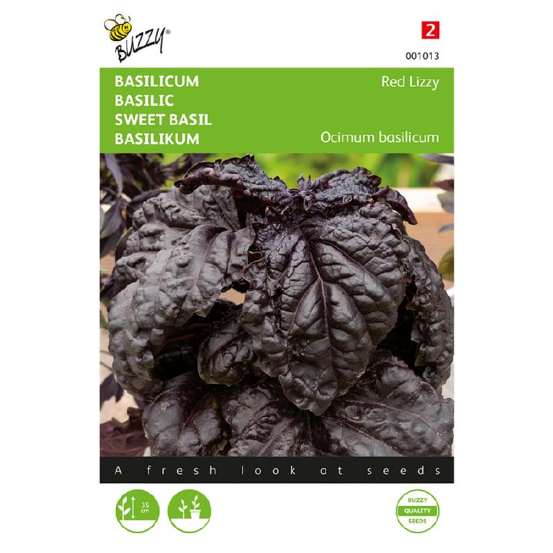 Tuinplus : Buzzy® Basil Lizzy Red Lettuce Leaved