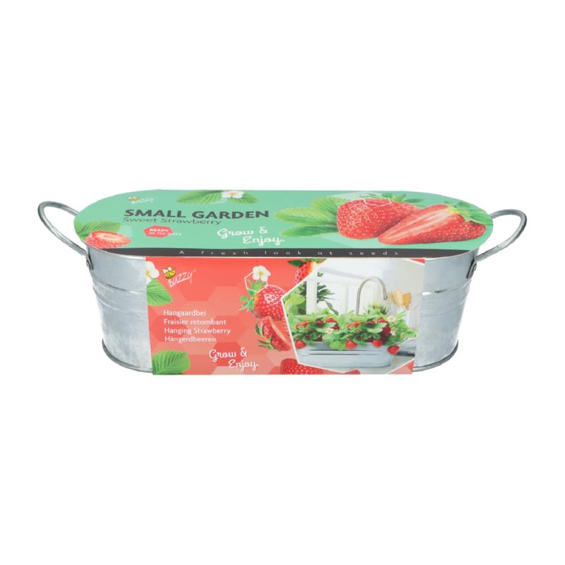 Pieterpik : Buzzy® Small Garden Sweet Strawberry