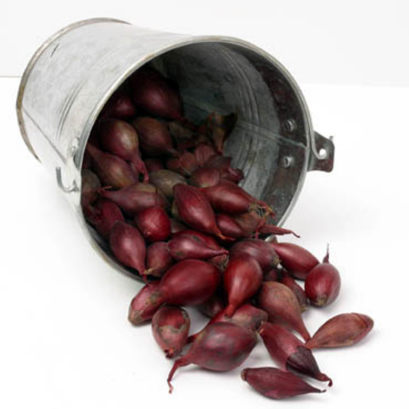 Plantuien Red Baron 250g