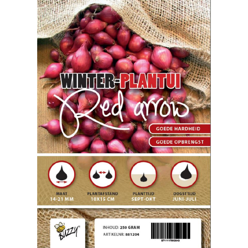 Winter Onion Red Arrow 250g