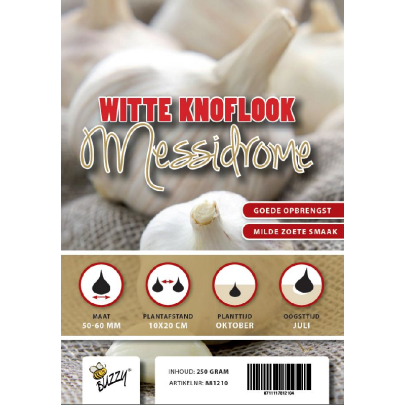 Winter Garlic Messidrome/ Germidour 5 pieces