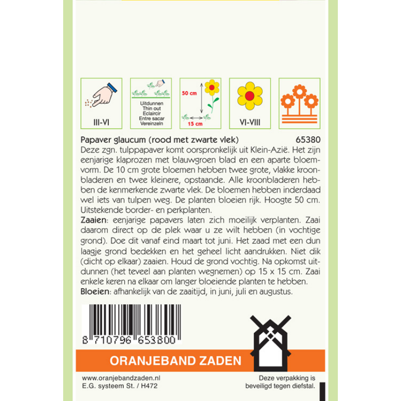 Oranjeband® Papaver glaucum, single red with blotch