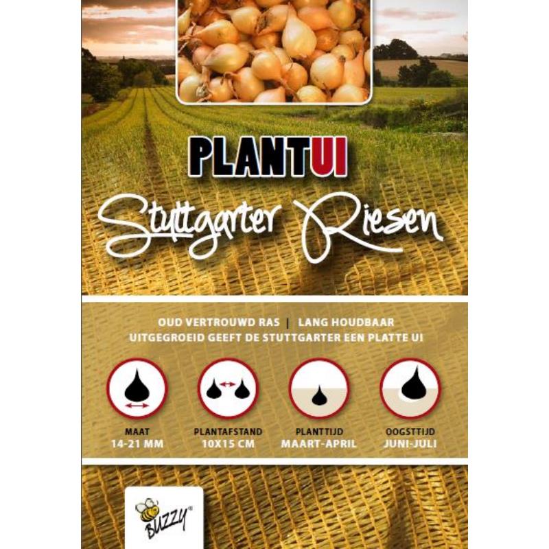 Onions Stuttgarter Riesen 14/21 0,5 kg