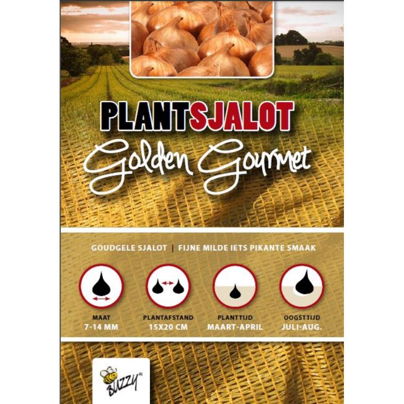 Shallot Golden Gourmet 0,5 kg