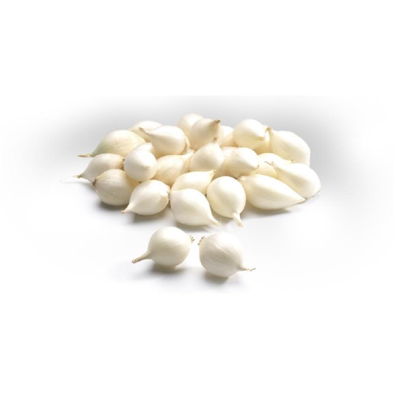 Plantuien Snowball 14/21mm kiloprijs (25kg zak)