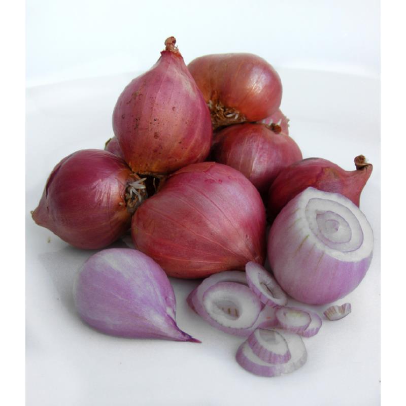 Shallots Red Sun 7/14 per KG
