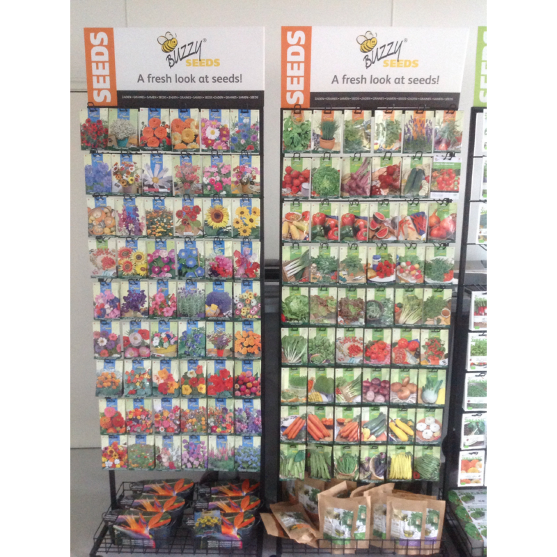 Display Buzzy Seeds 6x9 pos.metaal 40x70x175(