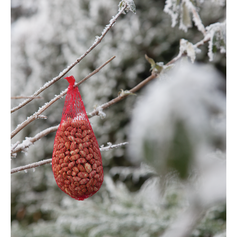 Bûten Food Erdnüsbeutel 200 gr.