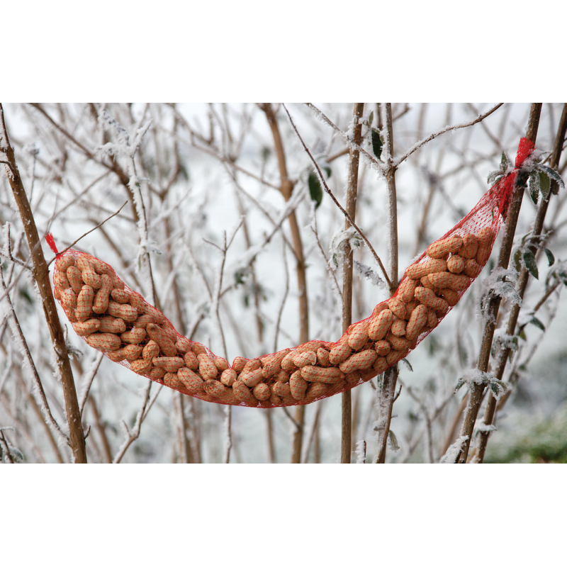 Bûten Food Schlange Erdnuss in der Schale 350 Gr. (15)