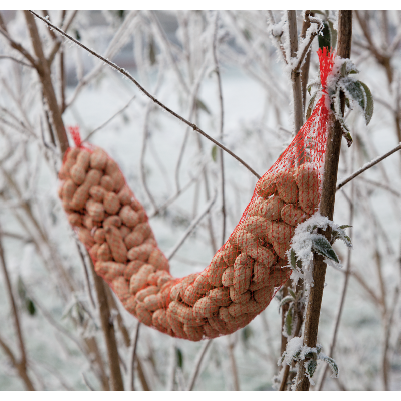 Bûten Food Schlange Erdnuss in der Schale 350 Gr. (15)
