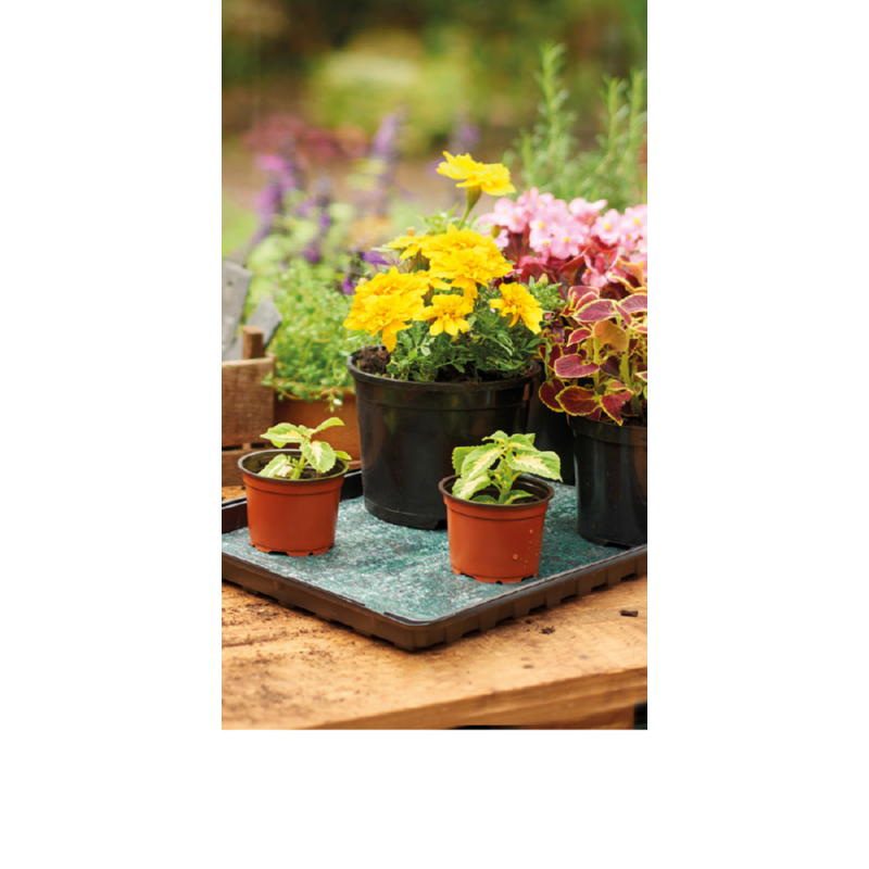 Grow-it  bewateringsmat 0,6x2m