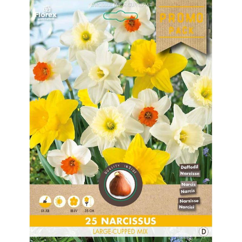 Grootverpakking Grootkron. Narcis mix 10/12 25st.