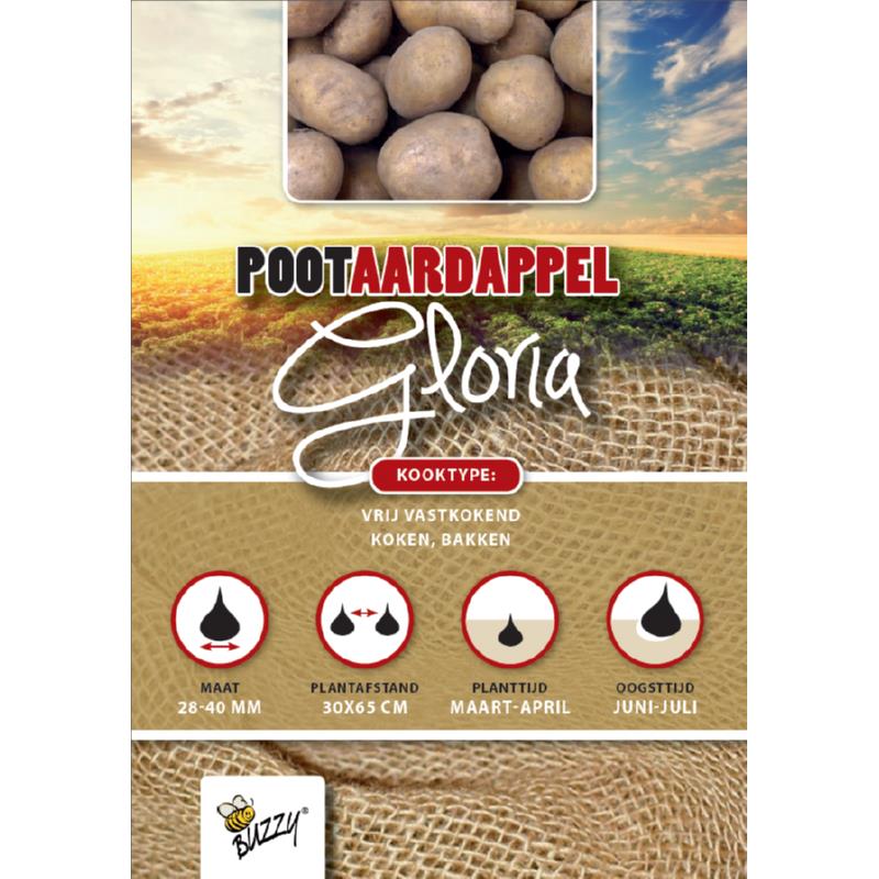 Seed Potatoes Gloria 25 Kg