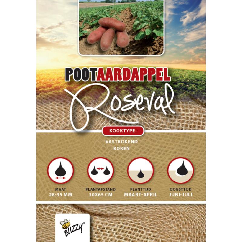 Seed Potatoes Roseval 1 Kg
