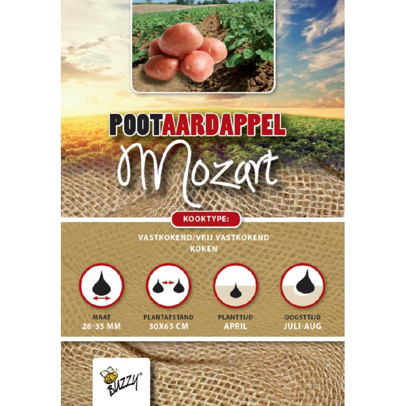 Seed Potatoes Mozart 1 Kg