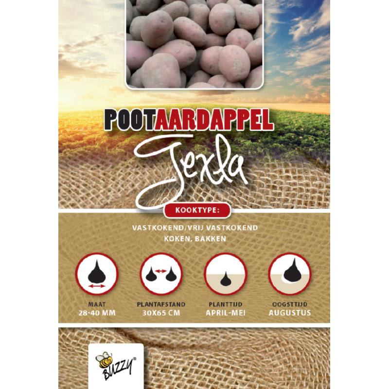 Seed Potatoes Texla 1 Kg