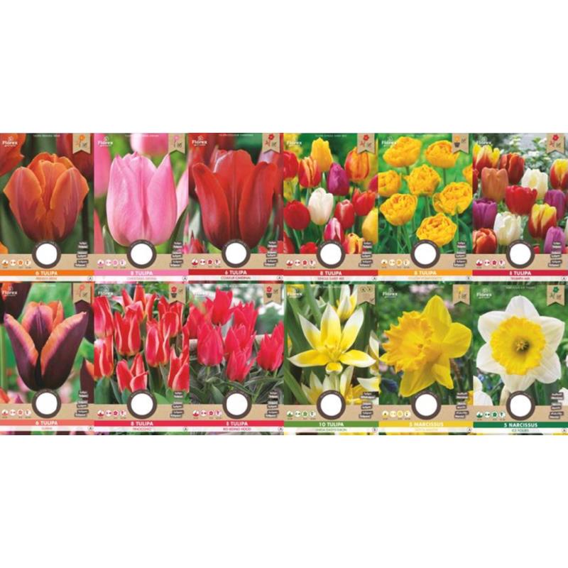 Profit Bulbs Autumn Collection 180 Bags