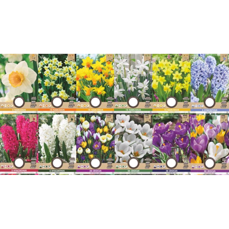 Profit Bulbs Autumn Collection 360 Bags