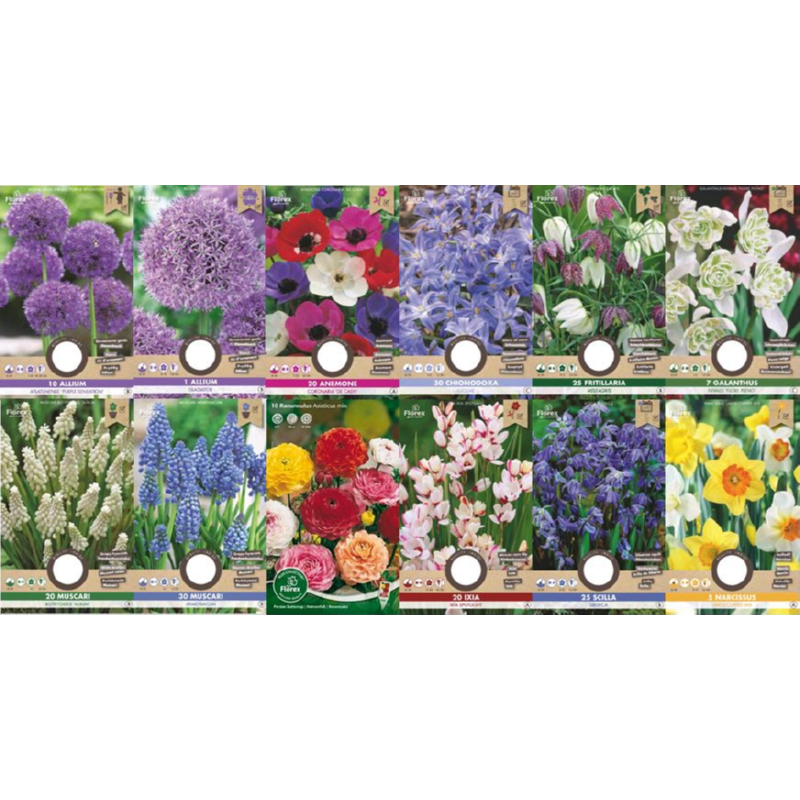 Profit Bulbs Autumn Collection 360 Bags