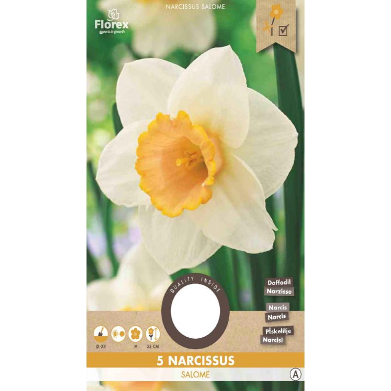 Narcissus Large cupped Salome 12/14 5pcs.