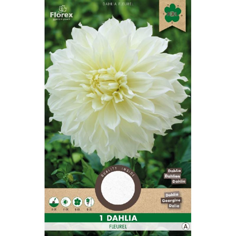 Dahlia Decorative Dinnerplate Fleurel White 1pc.