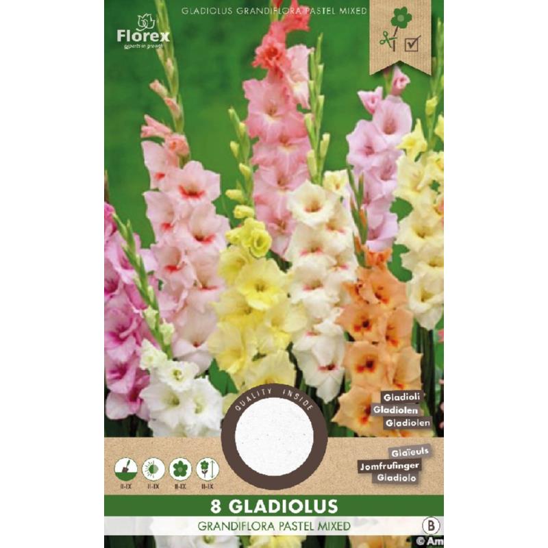 Gladiolus Pastel Mix 8pcs.
