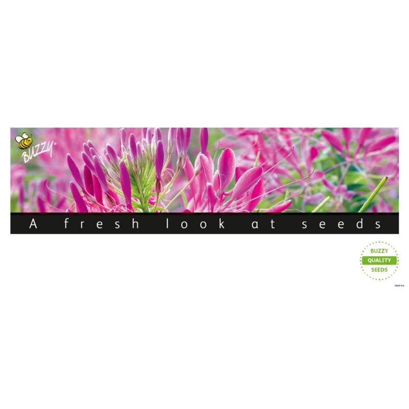 Kopkaart Buzzy 2.0 28,5x68cm Flower