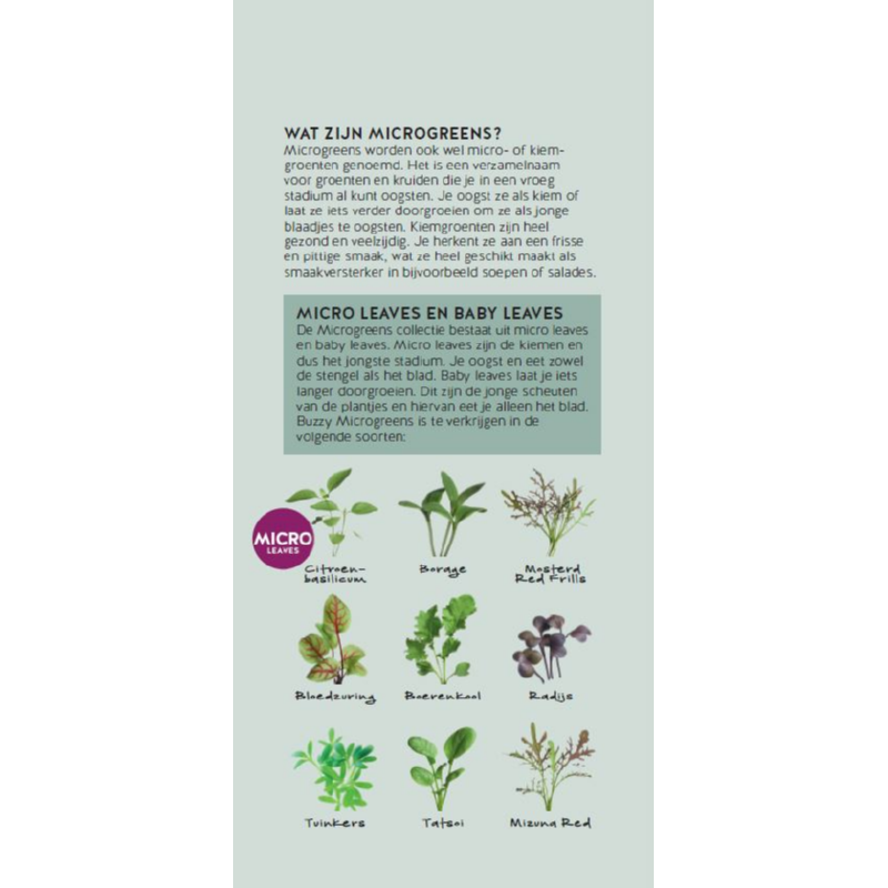 Brochure Buzzy Microgreens Dutch