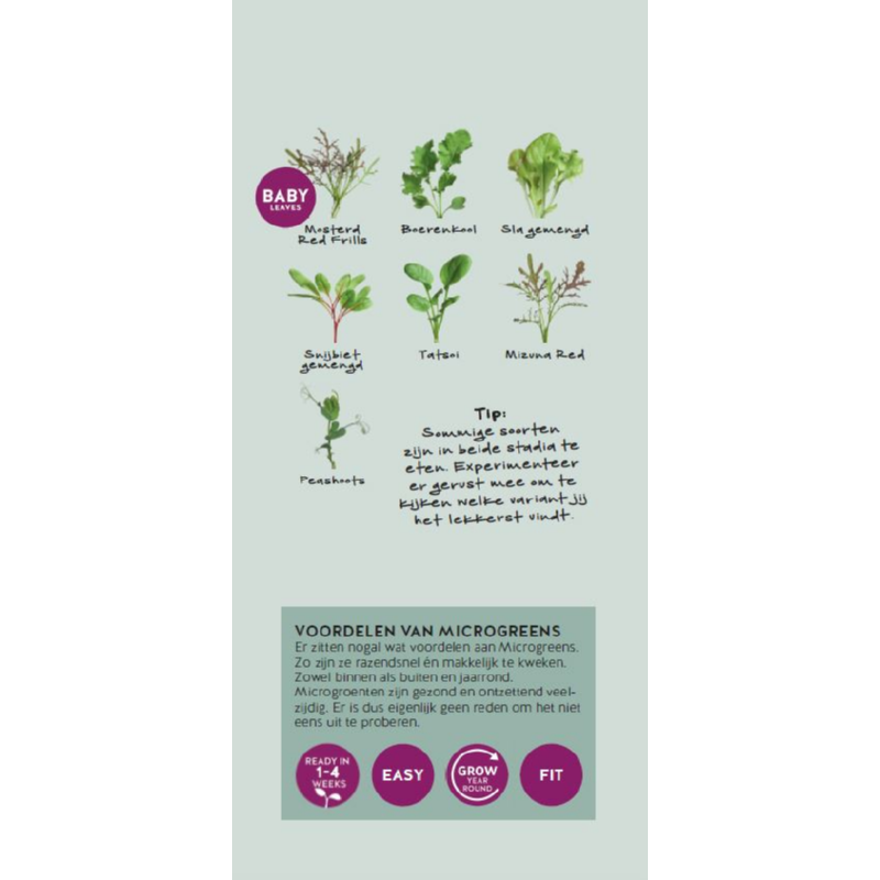 Brochure Buzzy Microgreens Dutch