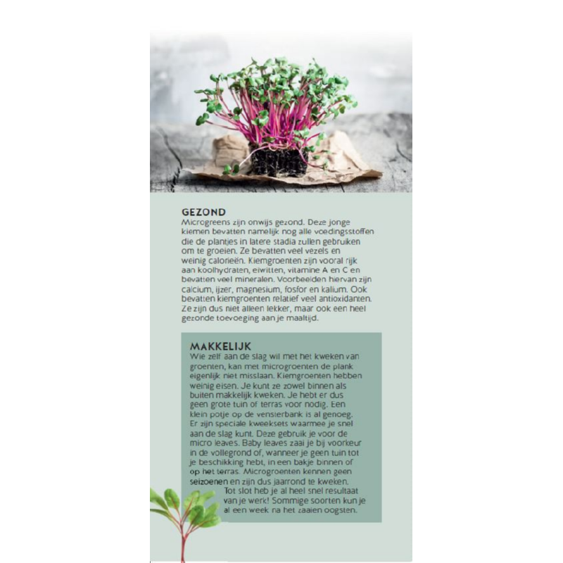 Brochure Buzzy Microgreens Dutch