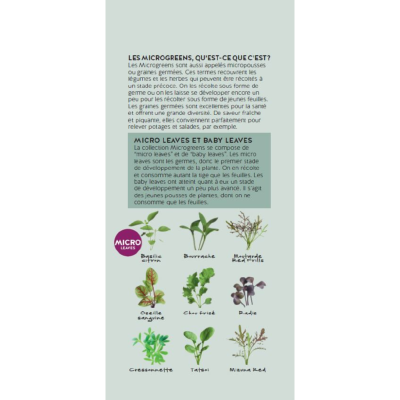 Brochure Buzzy Microgreens French