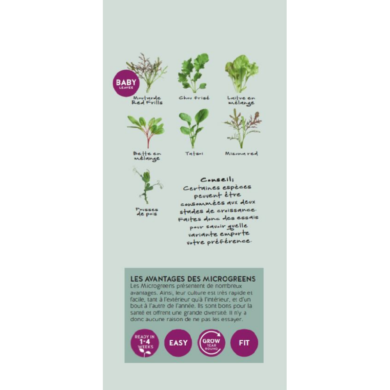 Brochure Buzzy Microgreens French