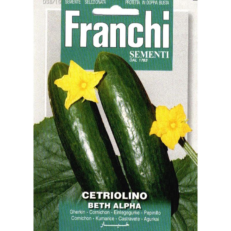 Franchi Cetriolino Beth Alpha 38/16