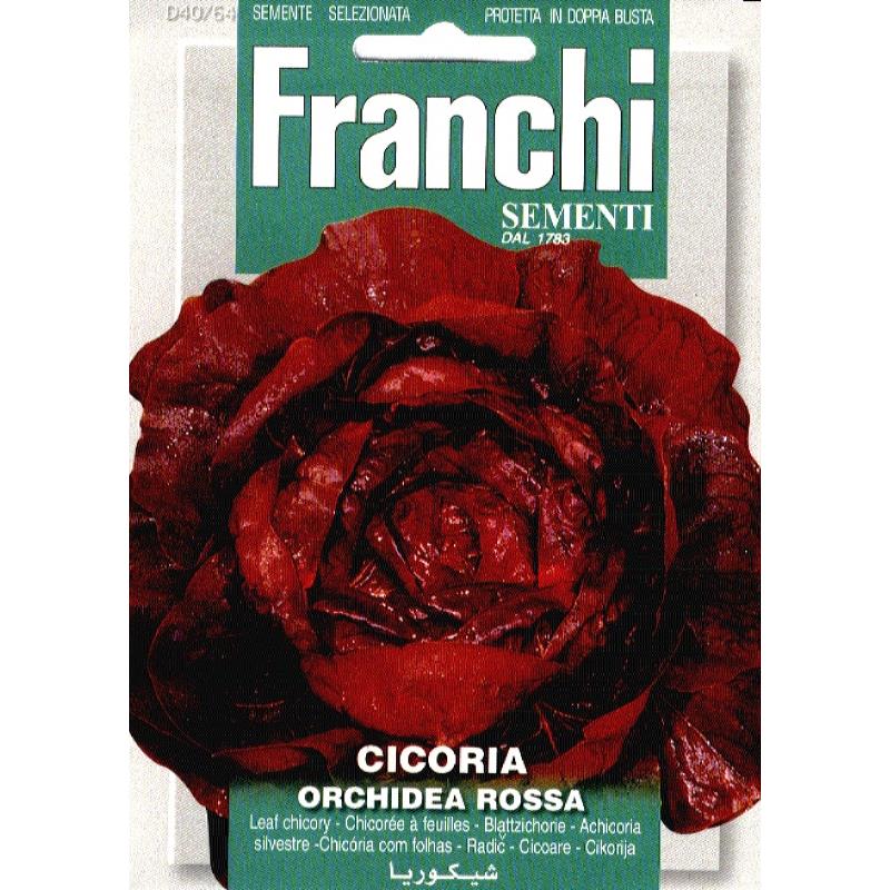 Fr Cicoria Orchidea Rossa 40/64