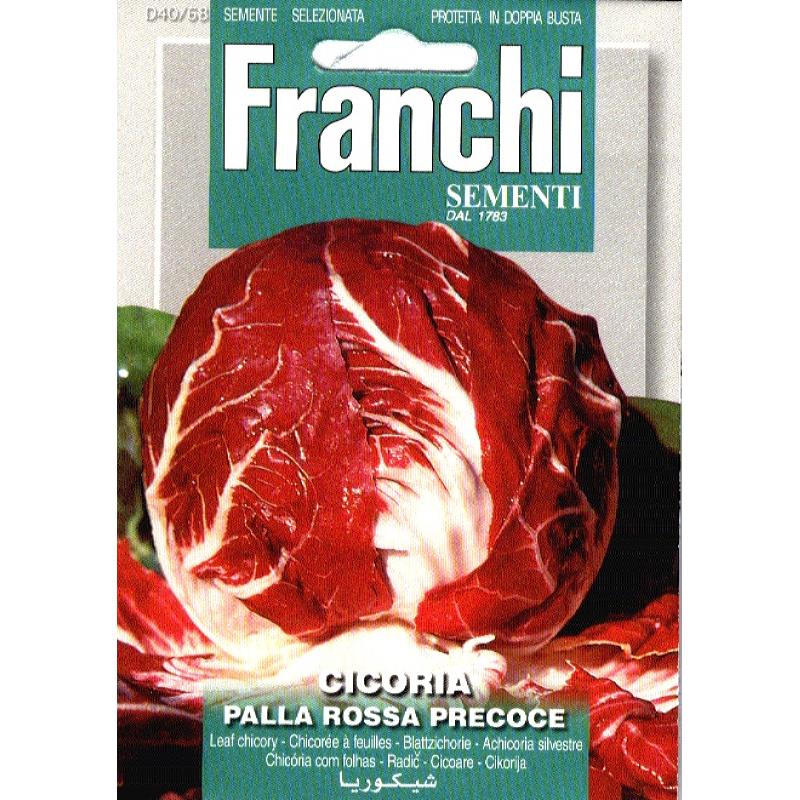Fr Cicoria Palla Rossa 40/68