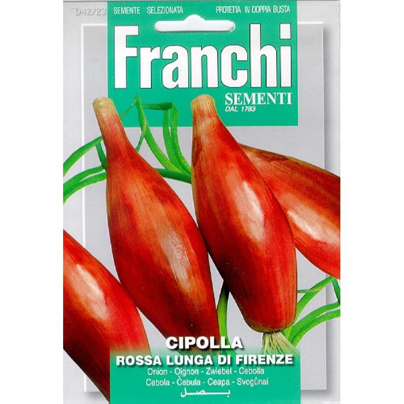 Fr Cipolla rossa Lunga Da Firenze 42/23
