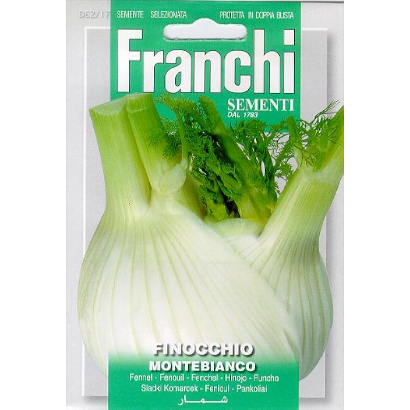 Fr Finocchio Montebianco 62/17