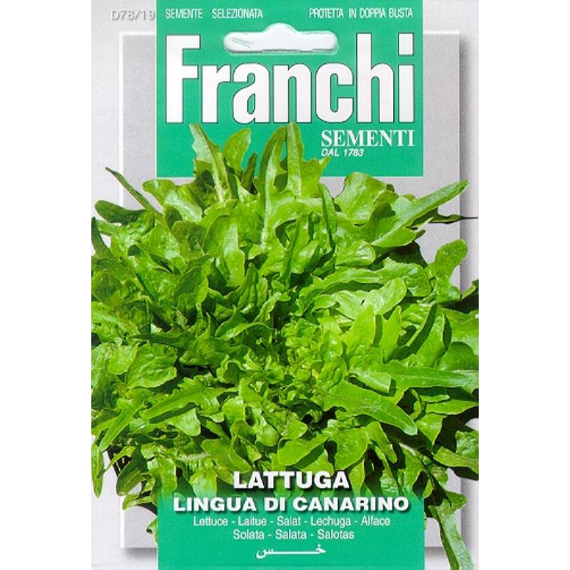 Fr Kropsla, Lattuga Lingua Di Canarino 78/19