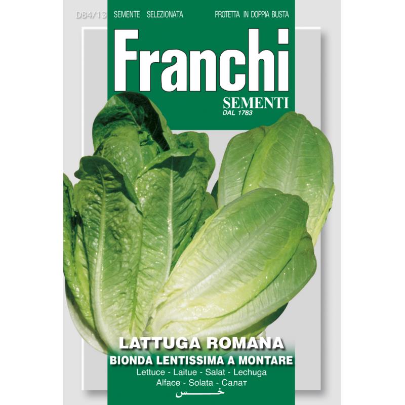 Fr Sla 4 Jaargetijde, Lattuga Bionda 84/13