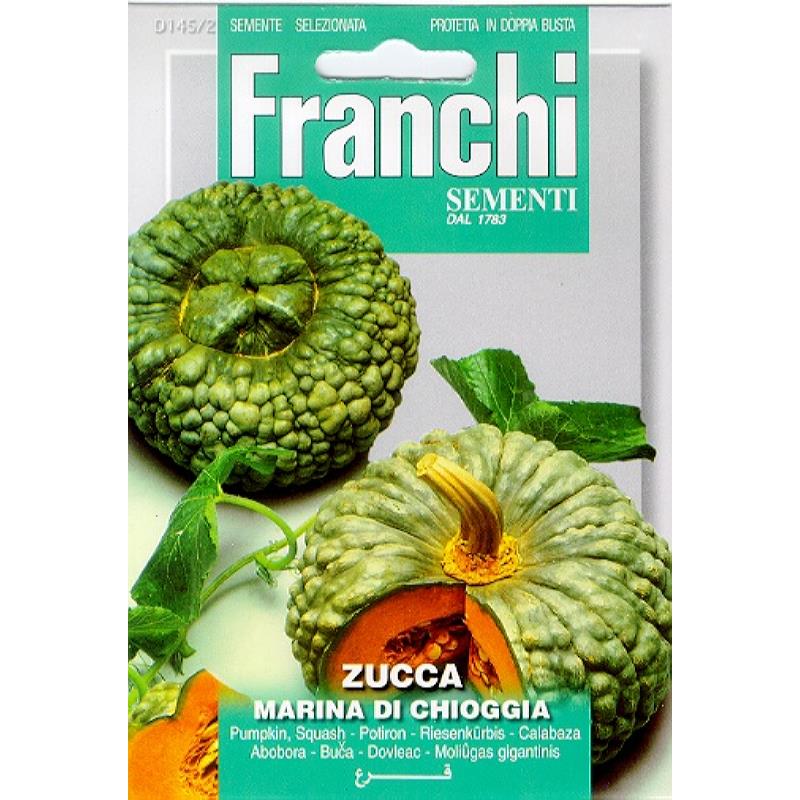 Fr Pompoen, Zucca marina di Chioggia 145/2