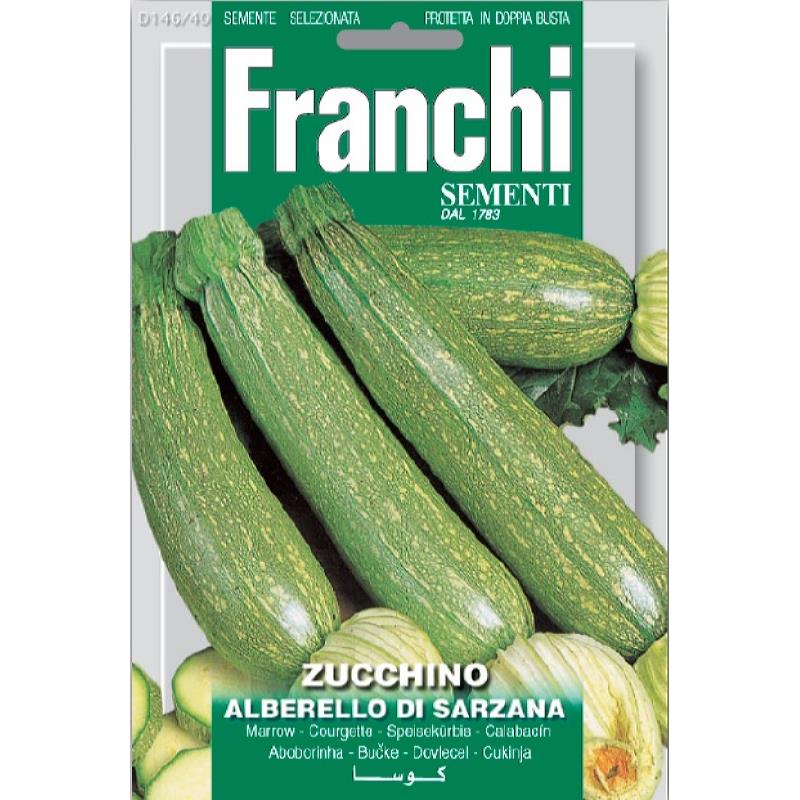 Fr Zucchino Alberello Di Sarzana - Courgette