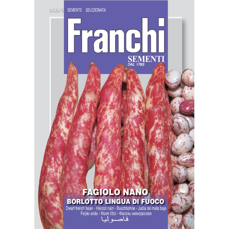 Fr Stamboon Kievits, Fagiolo Borlotto 50 gr 56/6
