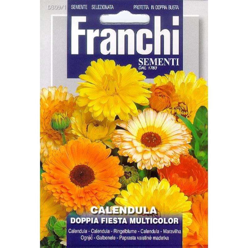 Fr Calendula Doppia Fiesta 309/1
