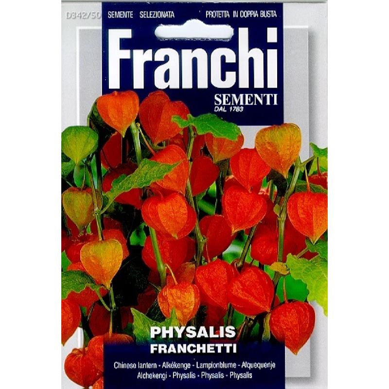 Fr Physalis franchetti - 342/50