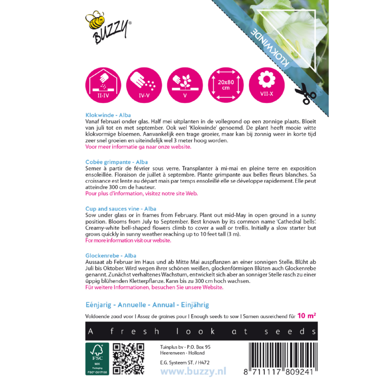 Buzzy® Climbing Flowers, Cobaea Alba white