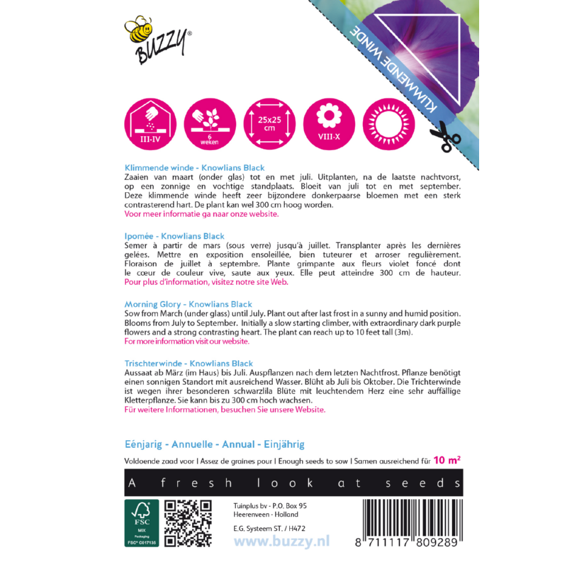 Buzzy® Climbing Flowers, Ipomoea Knowlians Black