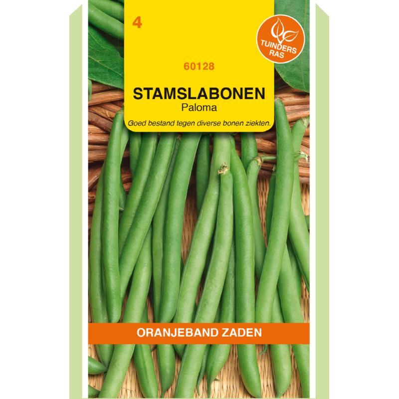 Oranjeband® Dwarf French Beans Domino, 50g